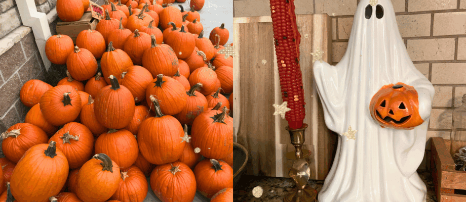 Fall Bingo, Free Printable